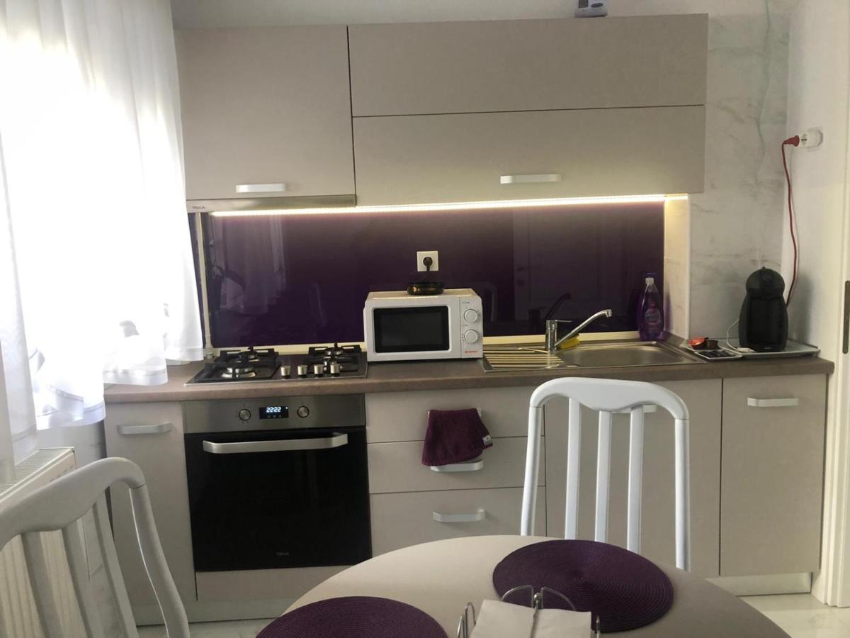Tudor Apartment Braila Ngoại thất bức ảnh